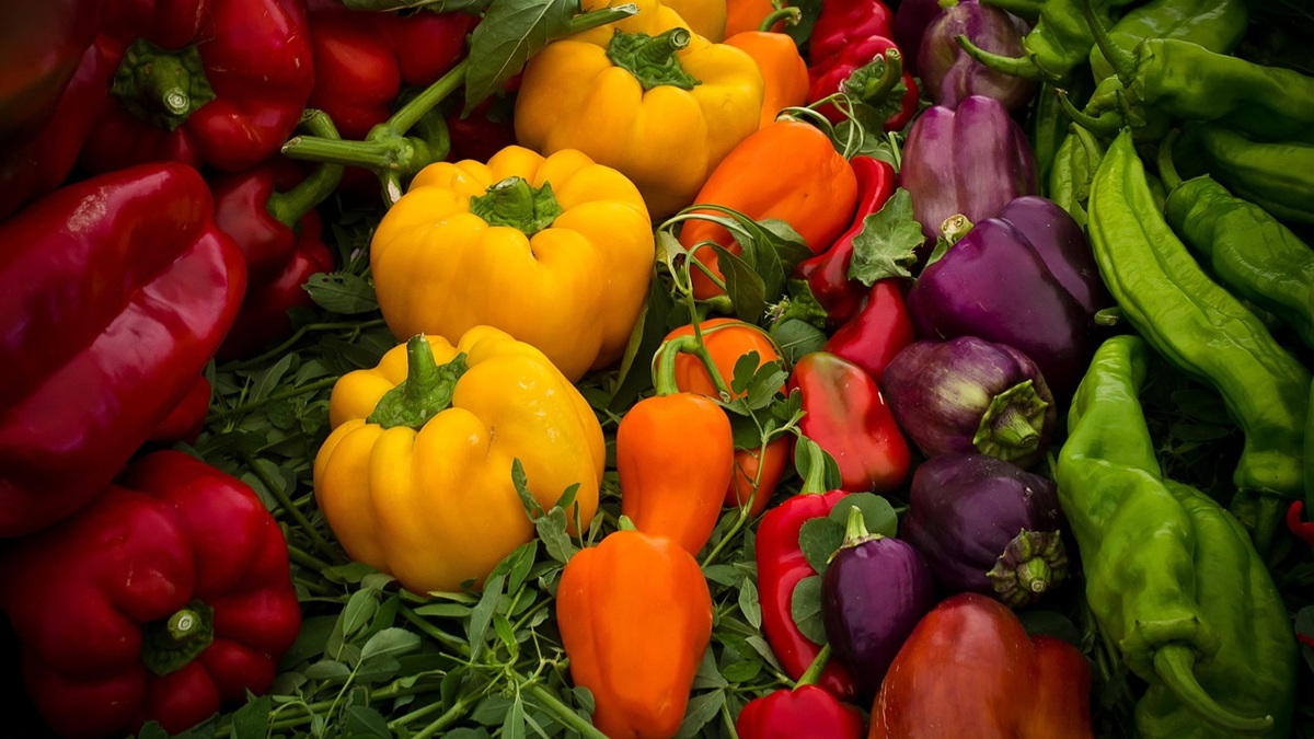 Investigación y desarrollo, el corazón y el motor de Cora Seeds